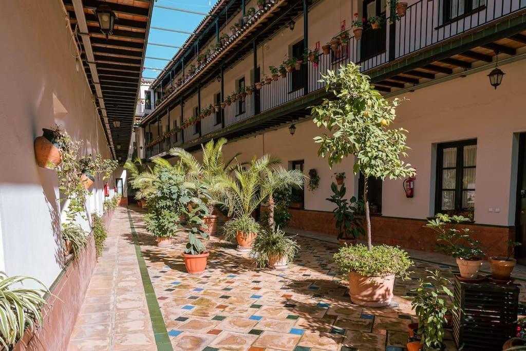 Apartamento Con Encanto En Patio Sevillano Экстерьер фото